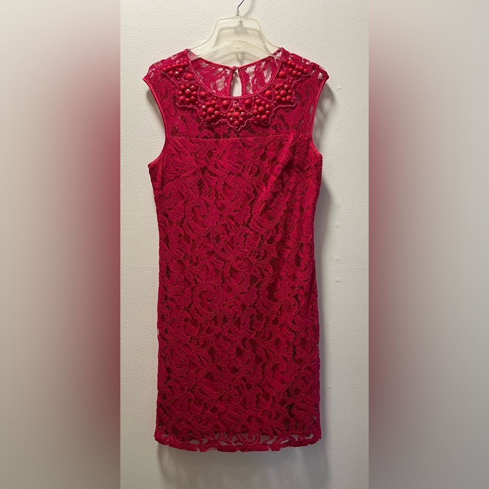 Adrianna Papell Chic Beaded Lacy Romantic Boutique Dress, Sz 6P, Fuchsia